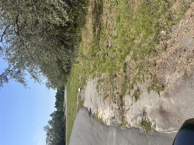 Beverly Ct, Spring Hill, FL 34606 - photo 2