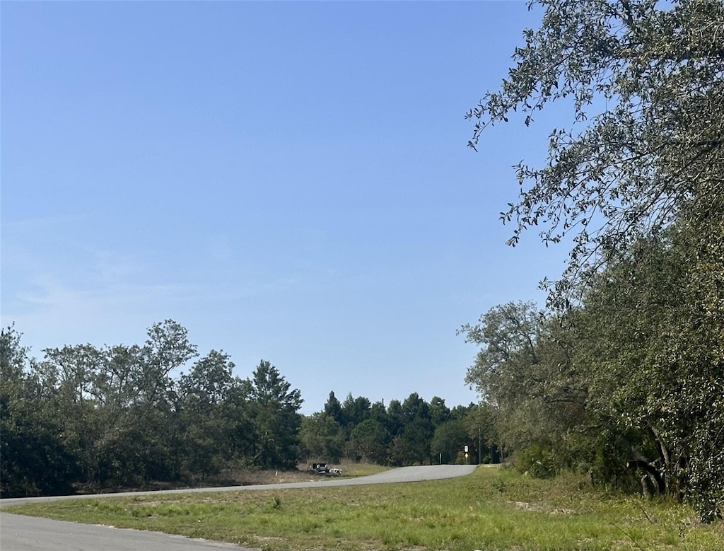 Beverly Ct, Spring Hill, FL 34606 - photo 3
