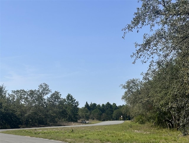 Beverly Ct, Spring Hill, FL 34606 - photo 3