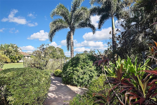1711 Pinyon Pine Dr, Sarasota, FL 34240 - photo 60