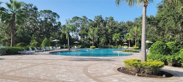 9942 Last Light Gln, Parrish, FL 34219 - photo 3