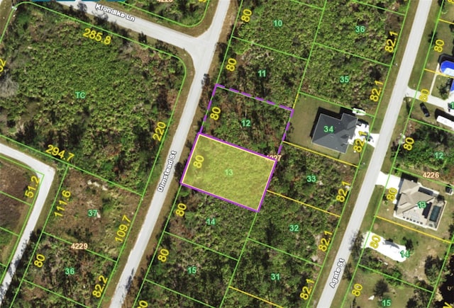 8226 Dimstead St, Port Charlotte, FL 33981 - photo 1