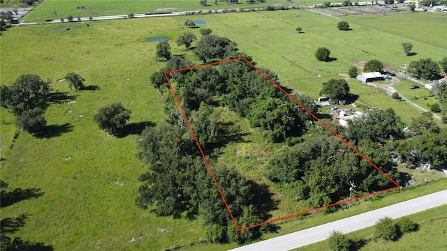 2847 SW Beard St, Arcadia, FL 34266 - photo 1