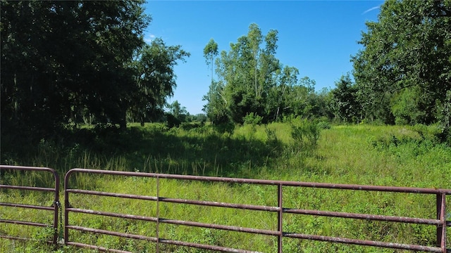 2847 SW Beard St, Arcadia, FL 34266 - photo 4