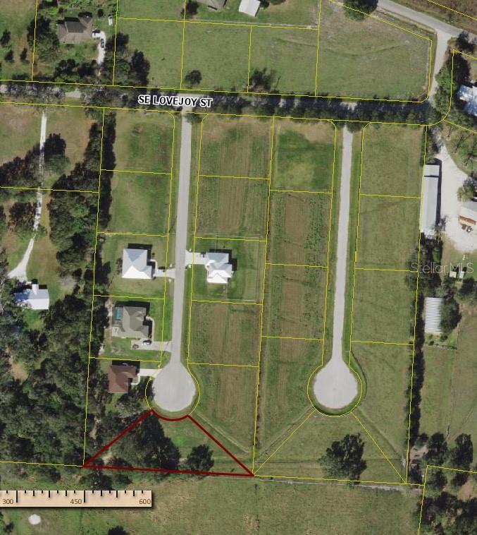 1663 SE Honeybell Ln, Arcadia, FL 34266 - photo 1