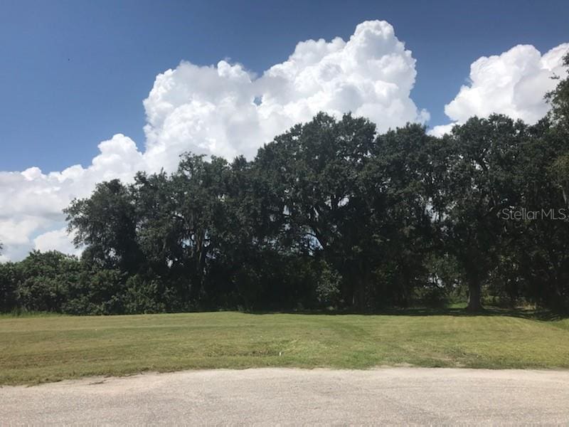 1663 SE Honeybell Ln, Arcadia, FL 34266 - photo 2