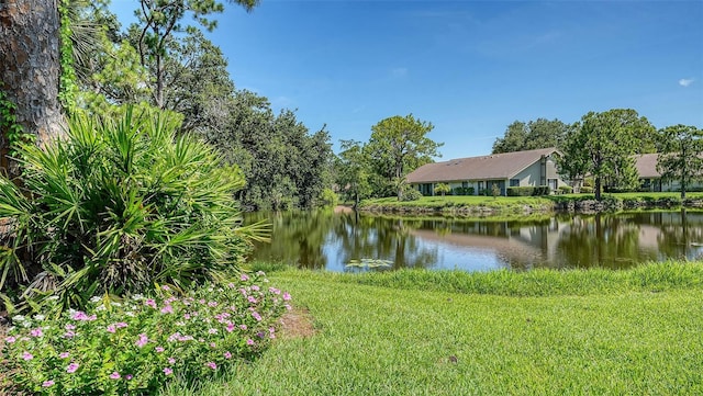 3148 Windrush Bourne Unit 20, Sarasota, FL 34235 - photo 13
