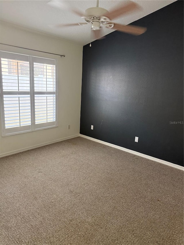 1948 Wood Brook St, Tarpon Springs, FL 34689 - photo 16