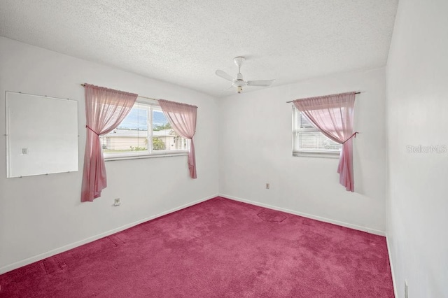 7411 17th Ave W, Bradenton, FL 34209 - photo 15