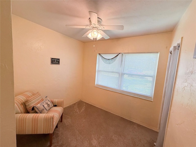 6275 37th Ave N, Saint Petersburg, FL 33710 - photo 18