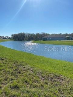 1901 Twin Rivers Trl, Parrish, FL 34219 - photo 1
