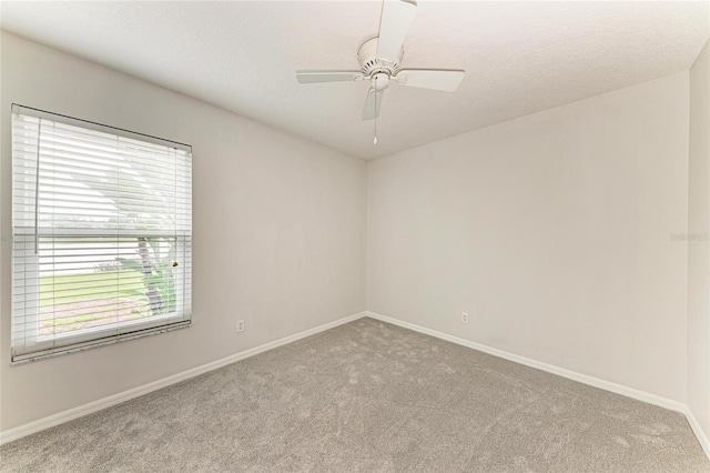 12148 Warwick Cir, Parrish, FL 34219 - photo 29
