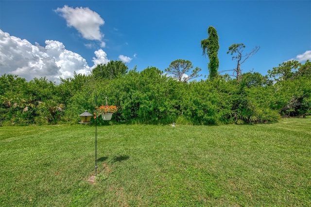 241 Fareham Dr, Venice, FL 34293 - photo 54