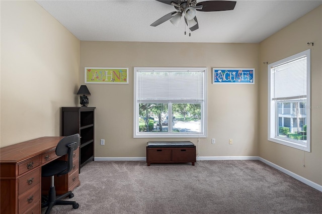 4802 51st St W Unit 103, Bradenton, FL 34210 - photo 11