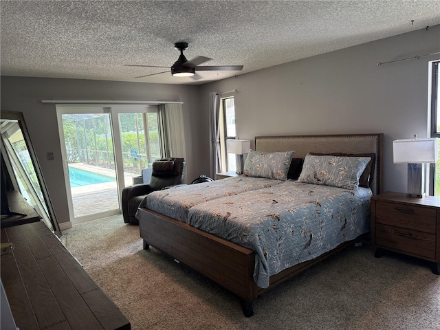 3404 Brian Rd S, Palm Harbor, FL 34685 - photo 10