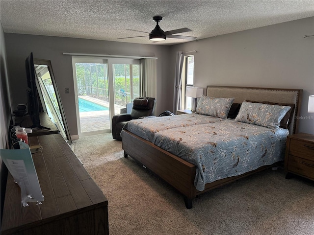 3404 Brian Rd S, Palm Harbor, FL 34685 - photo 11