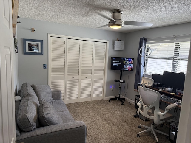 3404 Brian Rd S, Palm Harbor, FL 34685 - photo 19