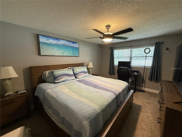 3404 Brian Rd S, Palm Harbor, FL 34685 - photo 23