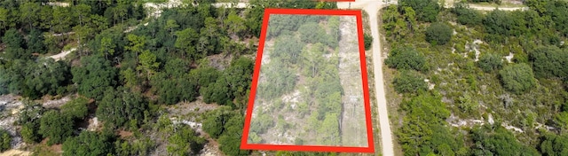 0 NE 90th St, Bronson, FL 32621 - photo 1