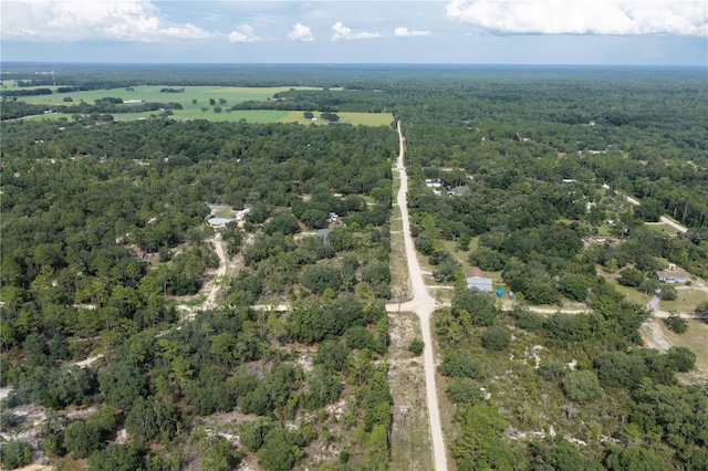0 NE 90th St, Bronson, FL 32621 - photo 3
