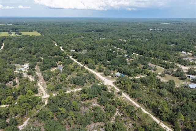 0 NE 90th St, Bronson, FL 32621 - photo 4