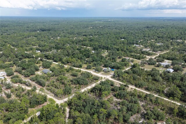 0 NE 90th St, Bronson, FL 32621 - photo 5