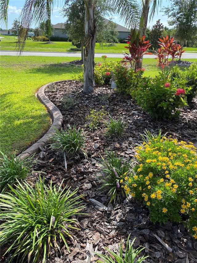 1728 Twin Rivers Trl, Parrish, FL 34219 - photo 4