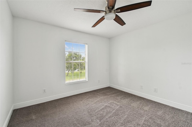2101 14th St W, Palmetto, FL 34221 - photo 32