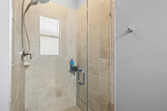 5144 Spotted Seal Ln, Bradenton, FL 34211 - photo 37