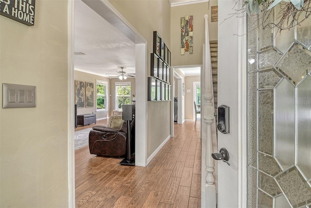 1131 133rd St E, Bradenton, FL 34212 - photo 6