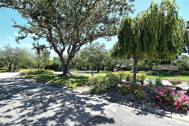 1131 133rd St E, Bradenton, FL 34212 - photo 45