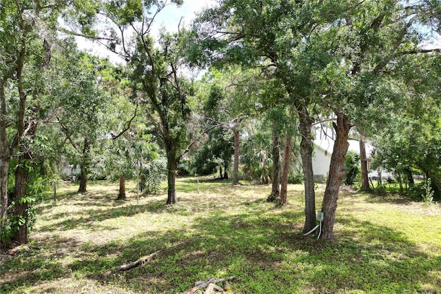 31AC- 21st St, Sarasota, FL 34234 - photo 1