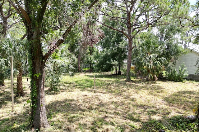 31AC- 21st St, Sarasota, FL 34234 - photo 3