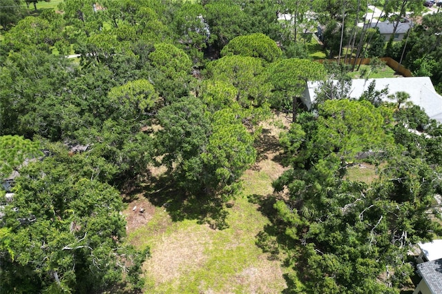 31AC- 21st St, Sarasota, FL 34234 - photo 5