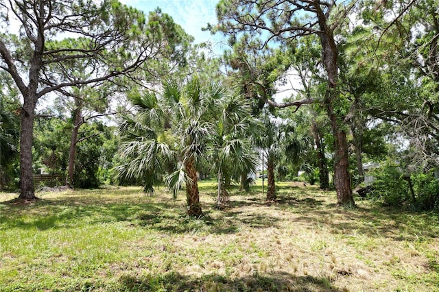 31AC- 21st St, Sarasota, FL 34234 - photo 6
