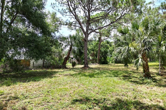 31AC- 21st St, Sarasota, FL 34234 - photo 7