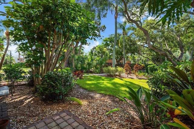 207 Pineneedle Dr Unit 207, Bradenton, FL 34210 - photo 38