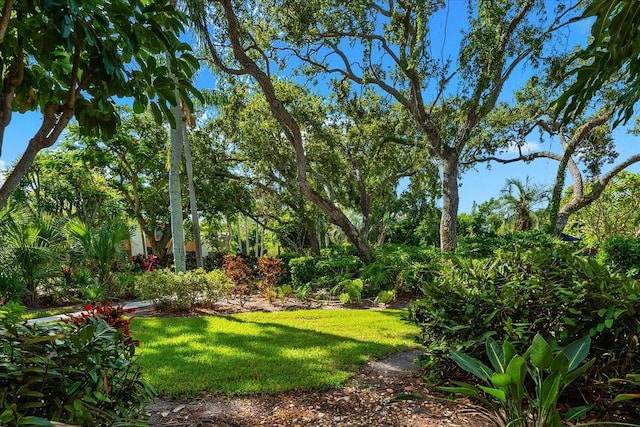 207 Pineneedle Dr Unit 207, Bradenton, FL 34210 - photo 39