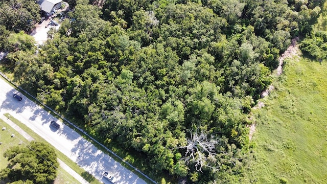 3002 16th Ave E, Palmetto, FL 34221 - photo 2