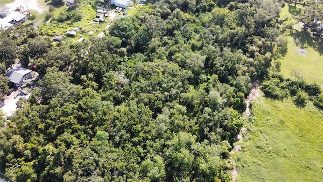 3002 16th Ave E, Palmetto, FL 34221 - photo 3
