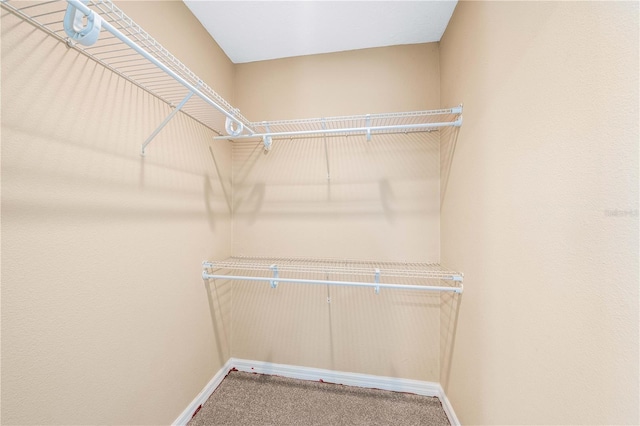 3104 Tyne Ln, Sarasota, FL 34232 - photo 24