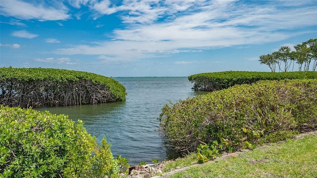 1932 Harbourside Dr Unit 244, Longboat Key, FL 34228 - photo 36