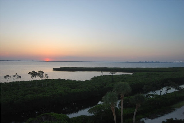 1932 Harbourside Dr Unit 244, Longboat Key, FL 34228 - photo 66