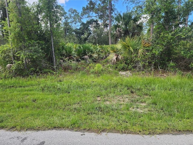 13101 Rankin Ave, Port Charlotte, FL 33953 - photo 1