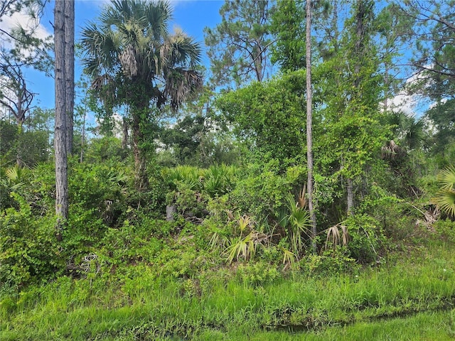 13101 Rankin Ave, Port Charlotte, FL 33953 - photo 2