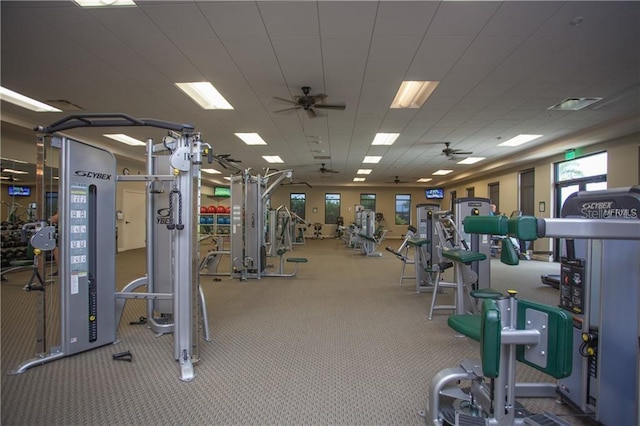 23253 Banbury Way, Venice, FL 34293 - photo 60