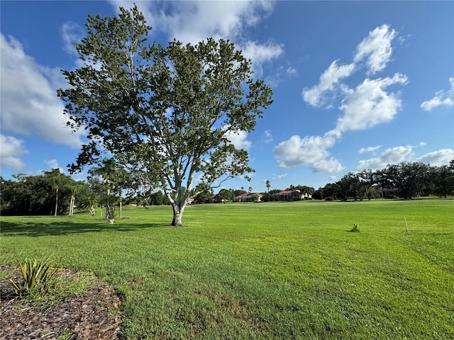 9933 Laurel Valley Avenue Cir, Bradenton, FL 34202 - photo 26