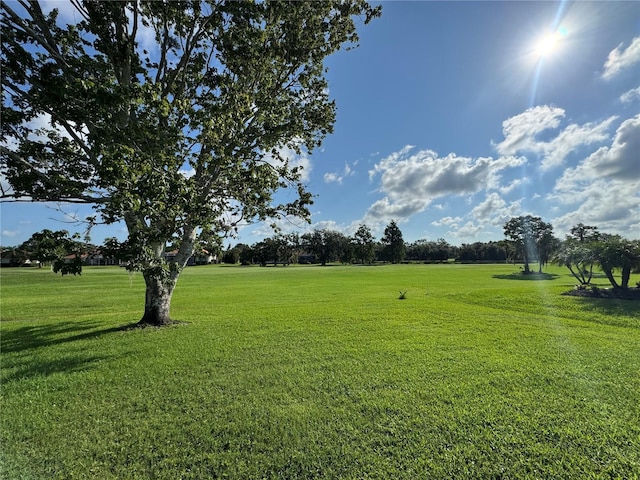 9933 Laurel Valley Avenue Cir, Bradenton, FL 34202 - photo 31