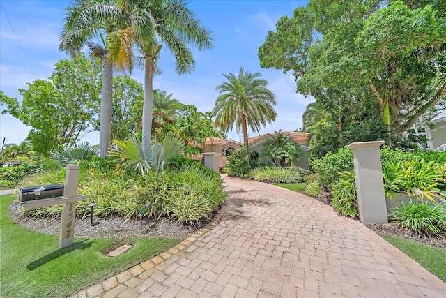 1547 Sandpiper Ln, Sarasota, FL 34239 - photo 63