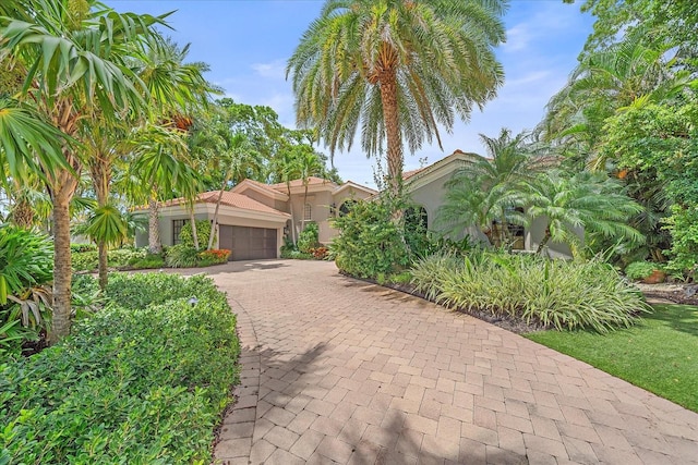 1547 Sandpiper Ln, Sarasota, FL 34239 - photo 64